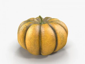 pumpkin 3D Model