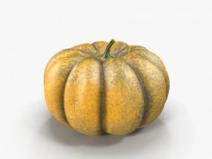 pumpkin 3D Model