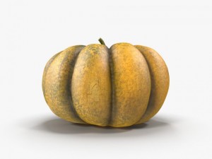 pumpkin 3D 模型