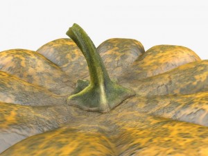 pumpkin 3D 模型