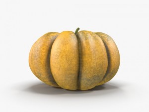 pumpkin 3D 模型