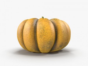 pumpkin 3D 模型