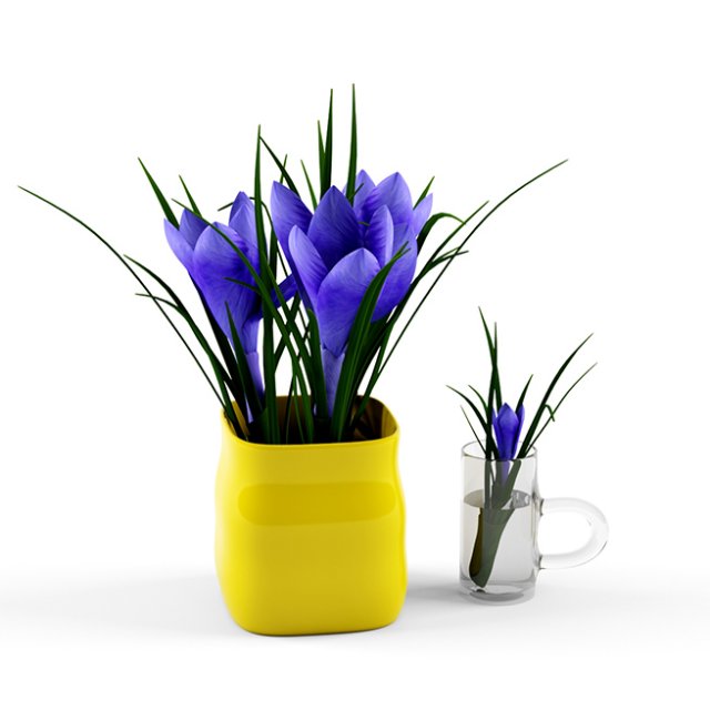 crocus 3Dモデル .c4d .max .obj .3ds .fbx .stl .blend 