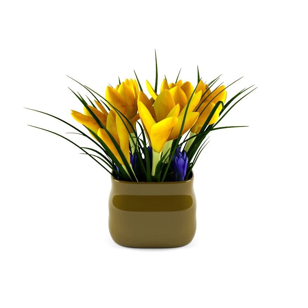 crocus 3D Model .c4d .max .obj .3ds .fbx .stl .blend 