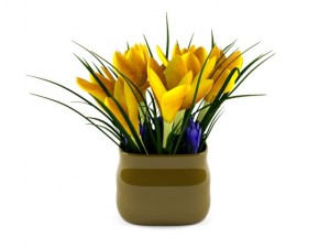 crocus 3D Модель