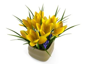 crocus 3D Model