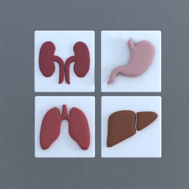 bodies 3D Model .c4d .max .obj .3ds .fbx .stl .blend 
