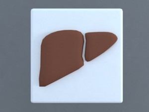 bodies 3D Model