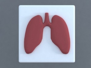 bodies 3D Model