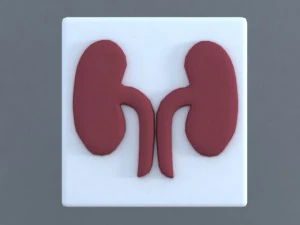 bodies 3D Model