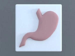bodies 3D Model