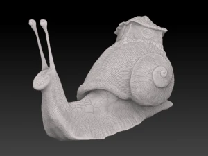 snail 3D Model