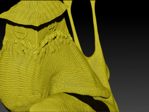 snail Model 3D