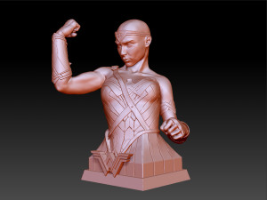 wonder woman gal gadot bust 3D 프린트 모델