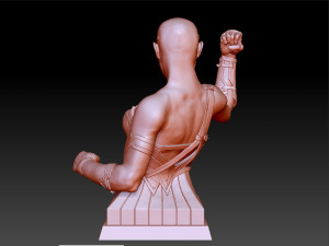 wonder woman gal gadot bust 3D 프린트 모델