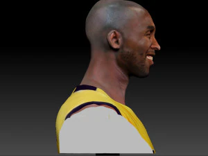 kobe bryant 3 textured 3d print busts 3D Print Model