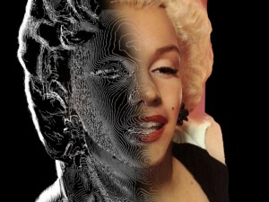 marilyn monroe 3d portrait Modèle 3D
