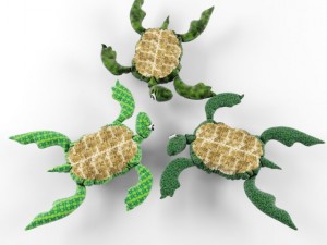 turtle toy 3D 模型
