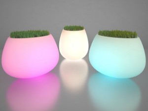 illuminated planter 2 3Dモデル