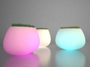 illuminated planter 2 3D 모델
