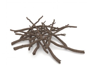 twigs 1 3Dモデル