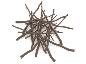 twigs 1 3D-Modell
