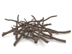 twigs 1 3D-Modell