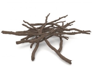 twigs 1 3D-Modell