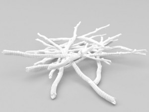 twigs 1 3D-Modell