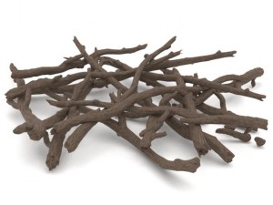 twigs 2 3Dモデル