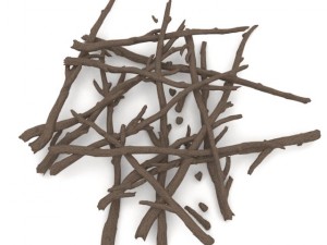 twigs 2 3Dモデル