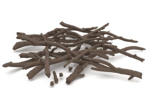 twigs 2 3Dモデル