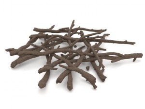 twigs 2 3Dモデル