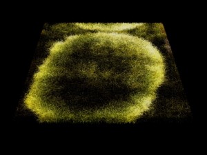 carpets vol 1 Modelo 3D