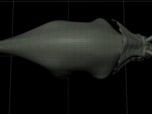 triceratops 3Dモデル
