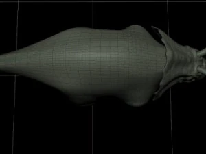triceratops 3D Model