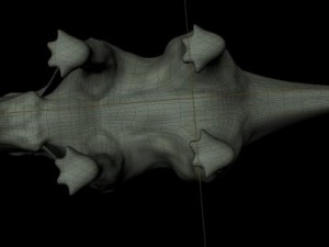 triceratops 3Dモデル