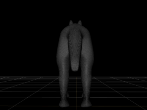 wolf Modèle 3D
