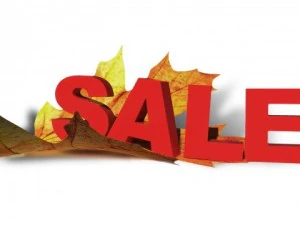 पत्ता शरद ऋतु छूट बिक्री 3D मॉडल