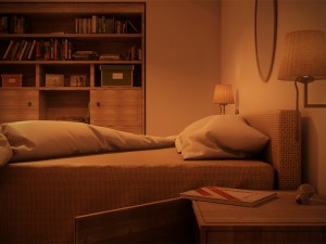 farmhouse bedroom day and night 3Dモデル
