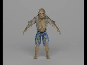 113 3D Model