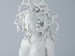 medusa head portrait 3D Print Model