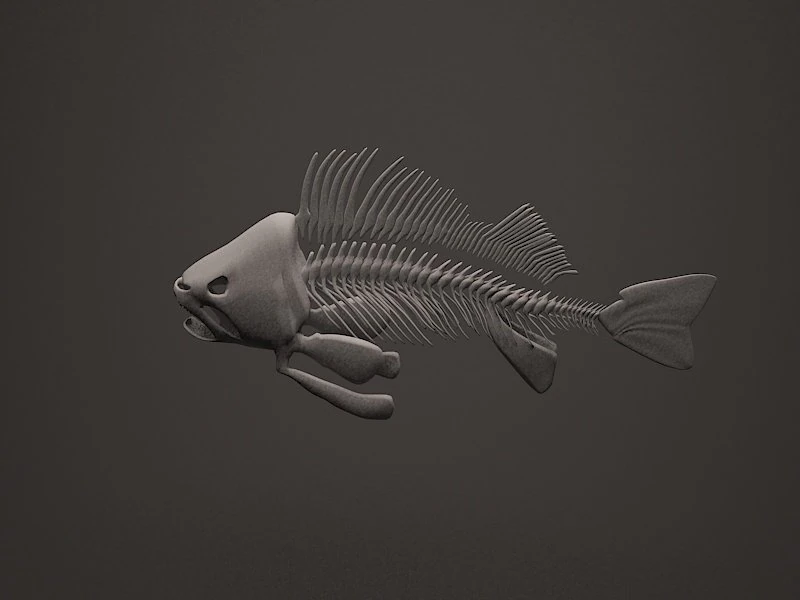 fish skeleton 3D Model .c4d .max .obj .3ds .fbx .stl .blend 