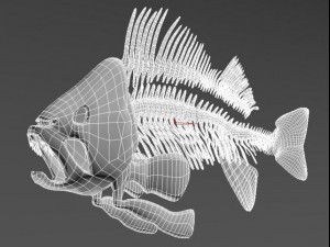 fish skeleton 3D-Modell