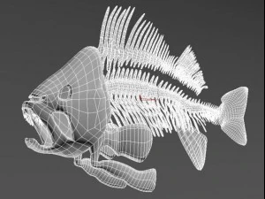 fish skeleton 3D Model