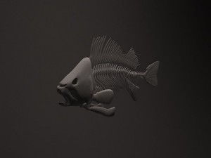 fish skeleton 3D-Modell