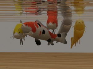 koi fish Modello 3D