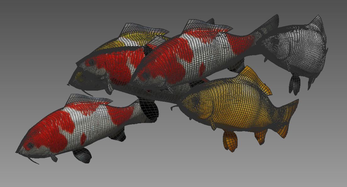 KOI fish 3D Model in Fish 3DExport