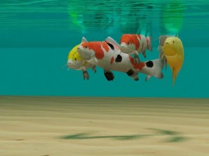 koi fish 3D Model