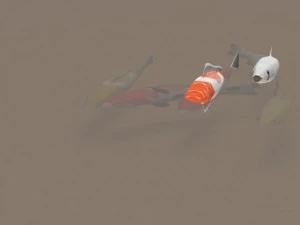 koi fish 3D Model